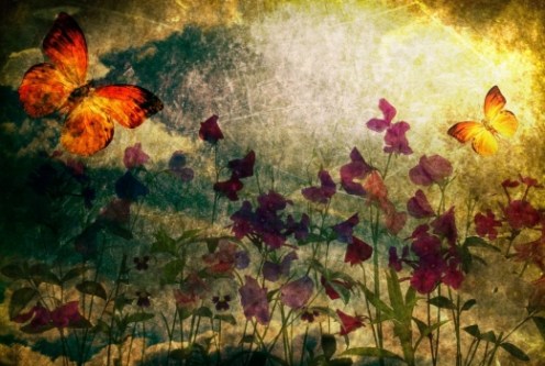 Mariposas_muralesyvinilos_25329004__XL