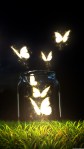 Fantasy Butterfly Jar iPhone 6 Plus HD&nbsp;Wallpaper