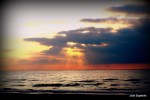 1-IMG_5966