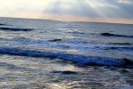 1-IMG_5979