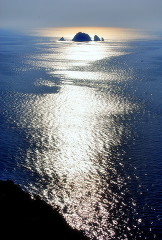 7246620_d764386ad9_m