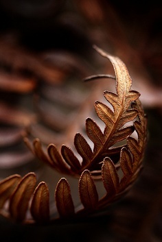 a409e156feaf7f5fe3cb12873cbb070f