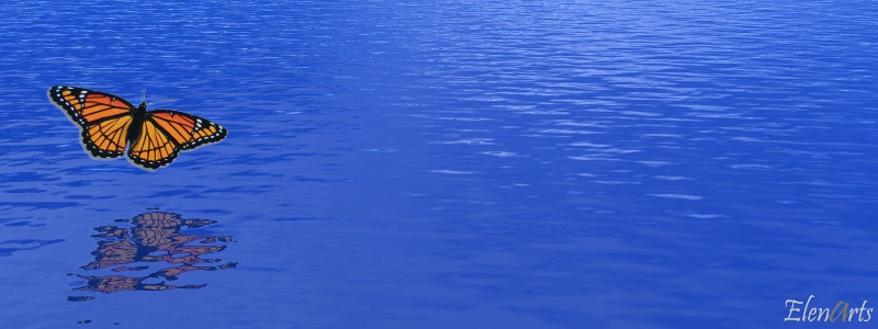 Black and red butterfly flying upon the quiet deep blue ocean water