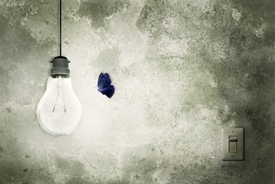 control-polillas-mariposa