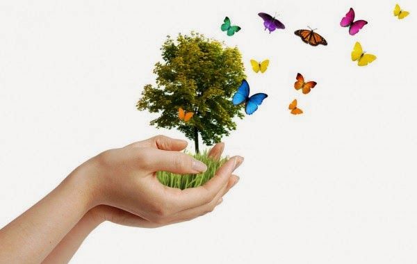 culpa-responsabilidad