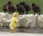 detras de la&nbsp;mirada