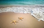 Estrellas_de_mar_en_playa_muralesyvinilos_19804151__XXL
