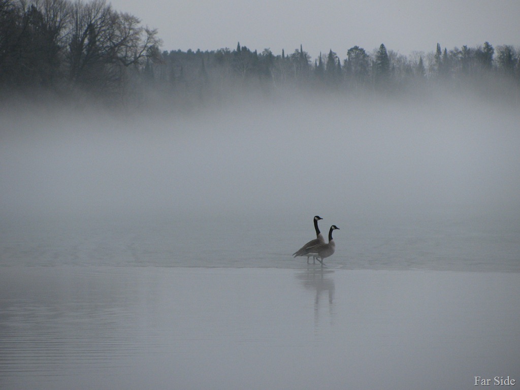 Long-Lake-Fog-March-17