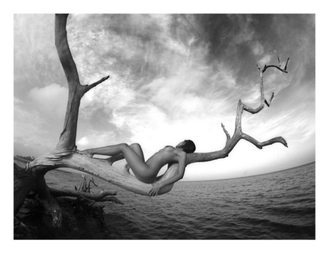 river-clark-artistic-nude-woman-in-tree_i-G-37-3779-BL3IF00Z