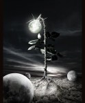 under de last&nbsp;moon