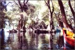 Camécuaro 5
