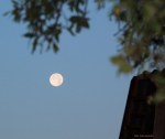 4YA SE MARCHÓ LA LUNA POR EL&nbsp;MONTE