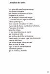 pg. 17