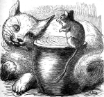 cat and mouse