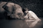 Gregory Colbert1