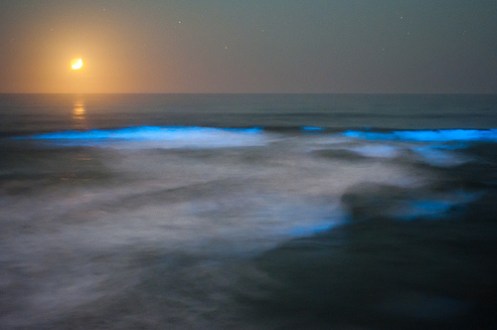 6210765669_524498f690