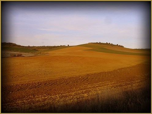haikus de mar y tierra