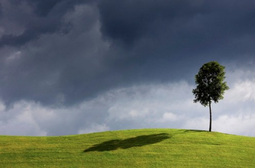 Captura de pantalla 2010-07-05 a las 18.42.38