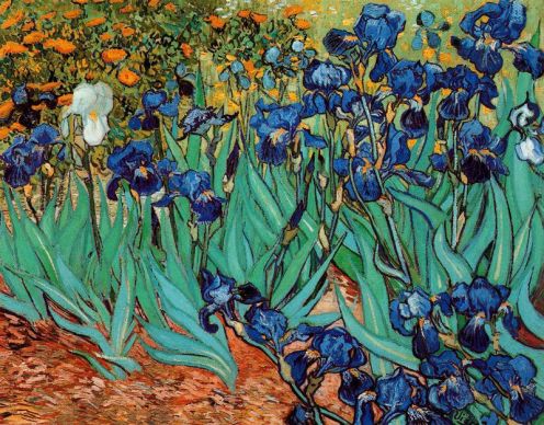 Lirios-Van-Gogh-1889