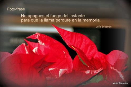 no apagues el fuego del...