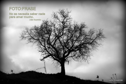 No se necesita saber nada...