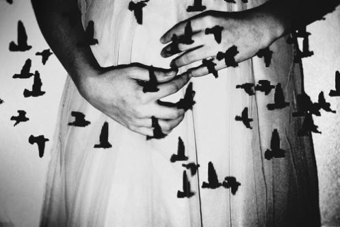 birds hands bw