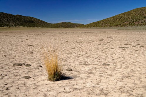 Wovoka Proposed Wilderness playa wovoka_playagrass150_bbeffort