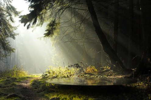 Rotunda-by-Citylaboratory-01-630x420 foto de carlos comendador