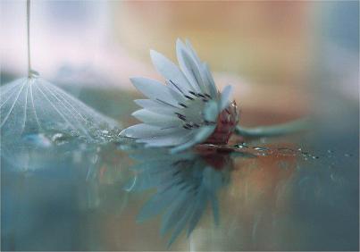 551859_10151798532045055_498975555_n