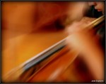 1-IMG_3698