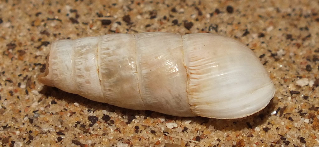 9269433631_2f56288012_b