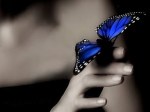 mariposa2