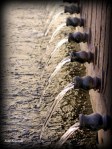 1-IMG_8310